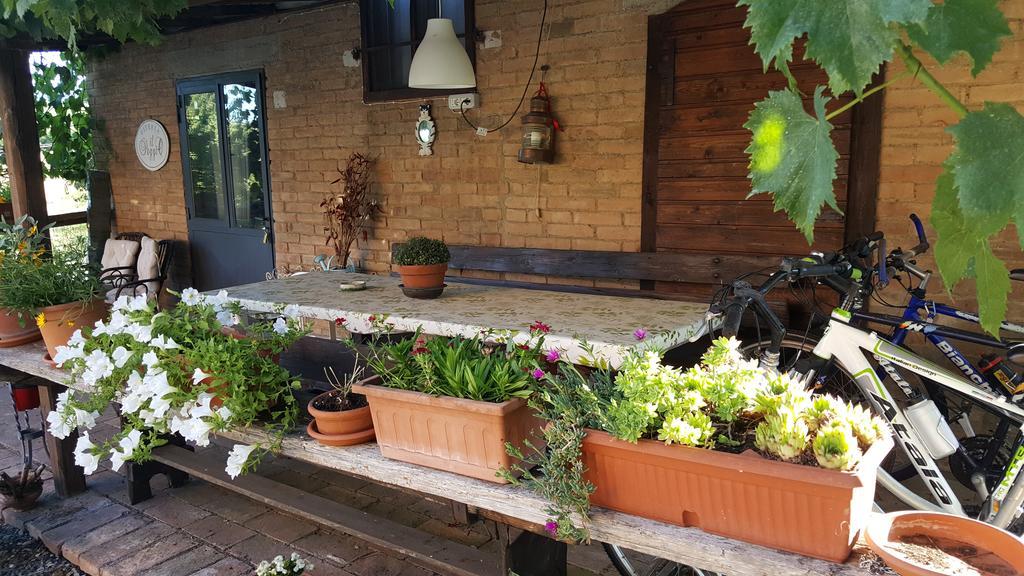 Casa Vacanze Fornace Buonconvento Exteriör bild